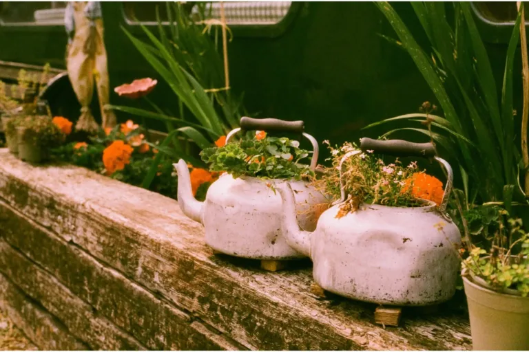 Guide: Everything you need to know about the State Pension