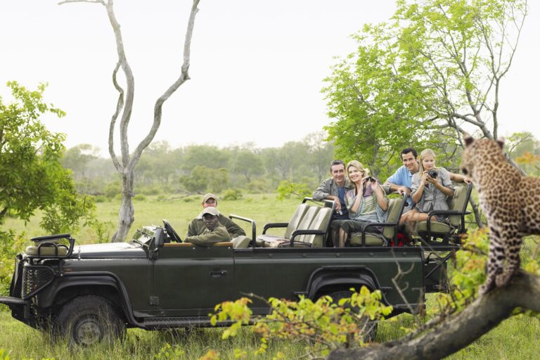 7 unbelievable travel experiences Lonely Planet recommends in 2026