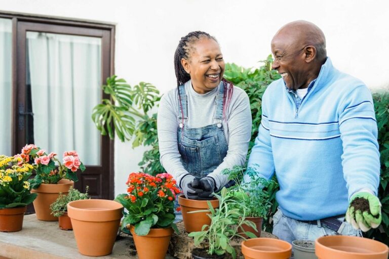 A couple potting plants together.